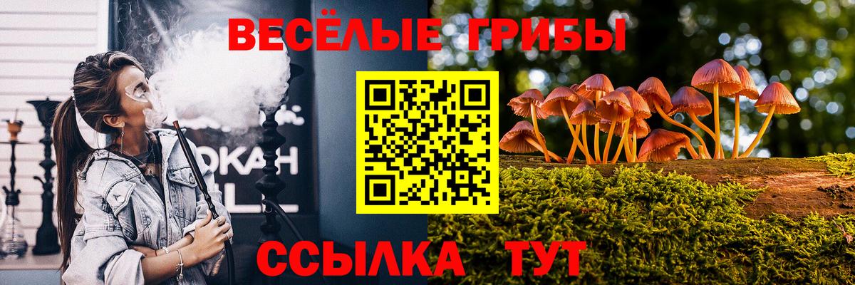 Галлюциногенные грибы Magic Shrooms Бийск