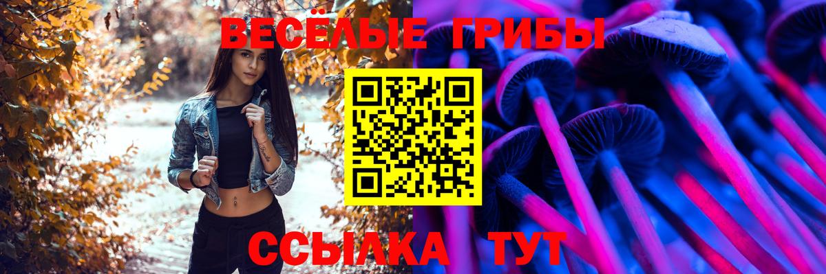 как найти закладки  Галлюциногенные грибы MAGIC MUSHROOMS  Вход с VPN  Бийск 